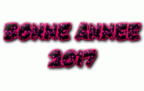 Bonne Année 2017 à Tous